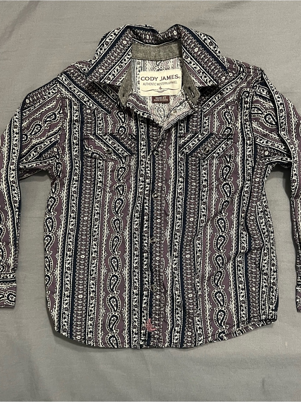 Cody James Boys' 2T Purple and Black Paisley Button-Down Rodeo Shirt
